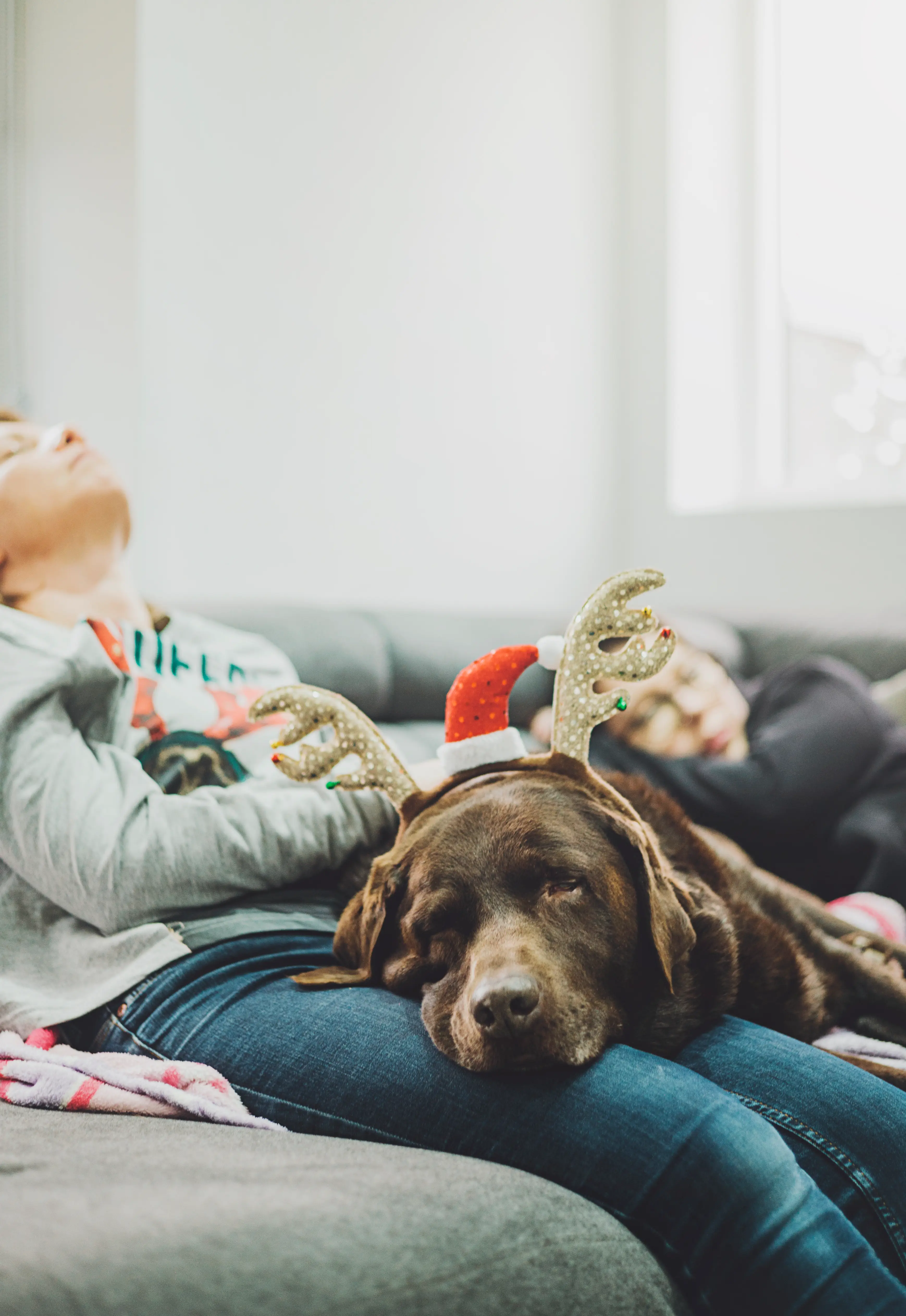 Tinsel is a choking hazard for furry friends. (Getty stock images)