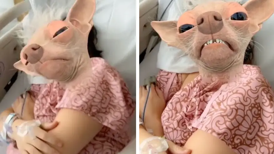 Man divides opinion after putting dog filter over wife’s face while she's in labour