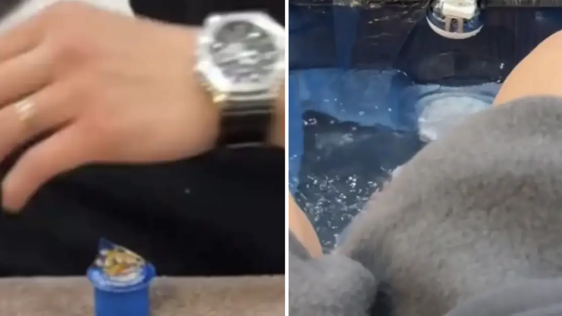 TikTok / @‌halesdorio