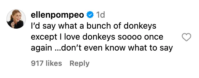 (Instagram/@ellenpompeo)
