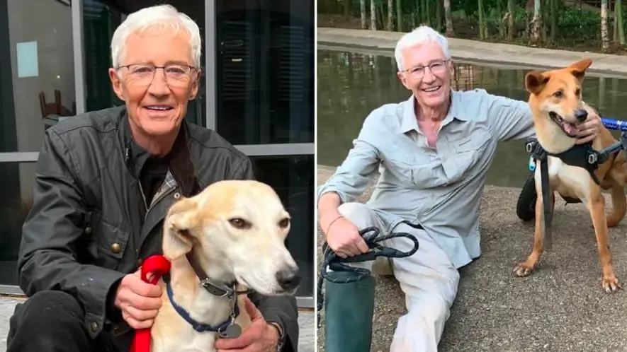 Instagram/@paulogrady