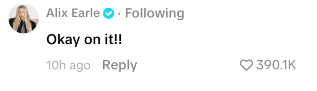 Fans have been left wondering what will happen next (TikTok/Alix Earle)