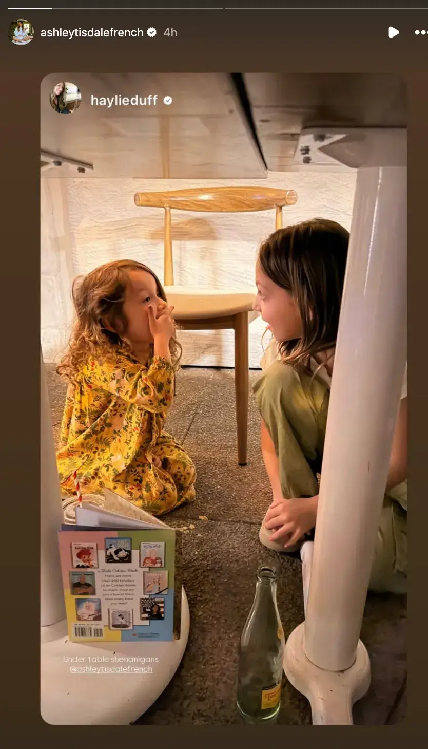 The unexpected friendship has raised eyebrows (Ashley Tisdale/Instagram)