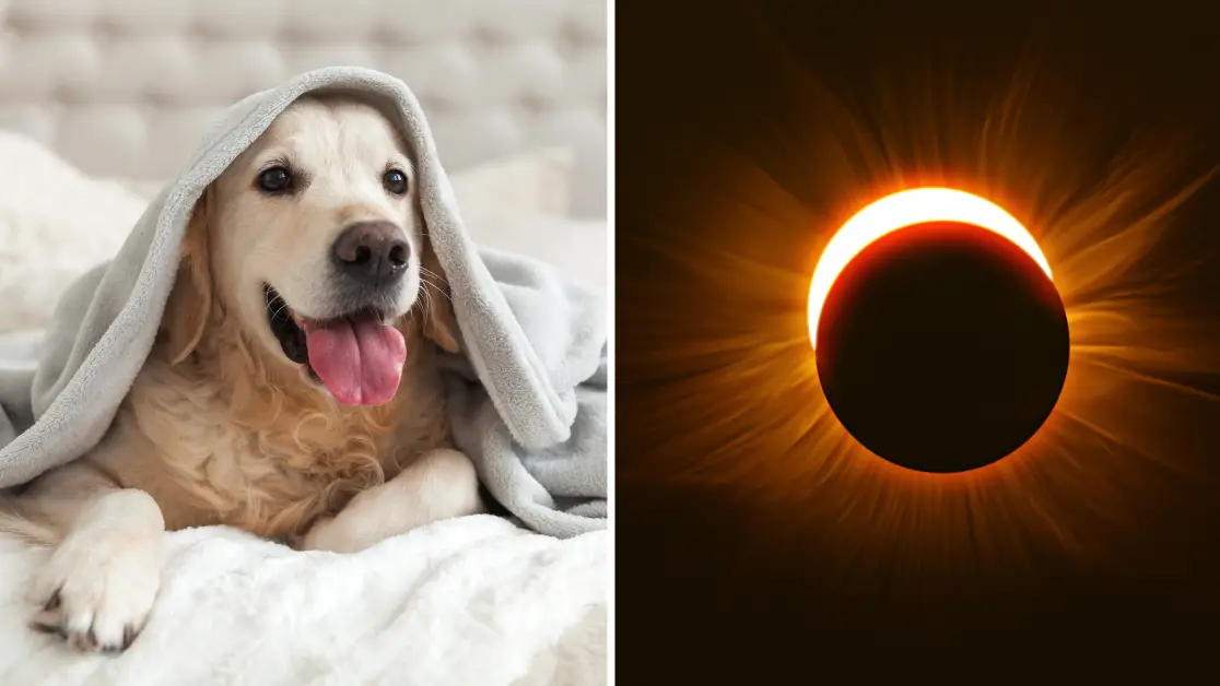 Getty Stock Images