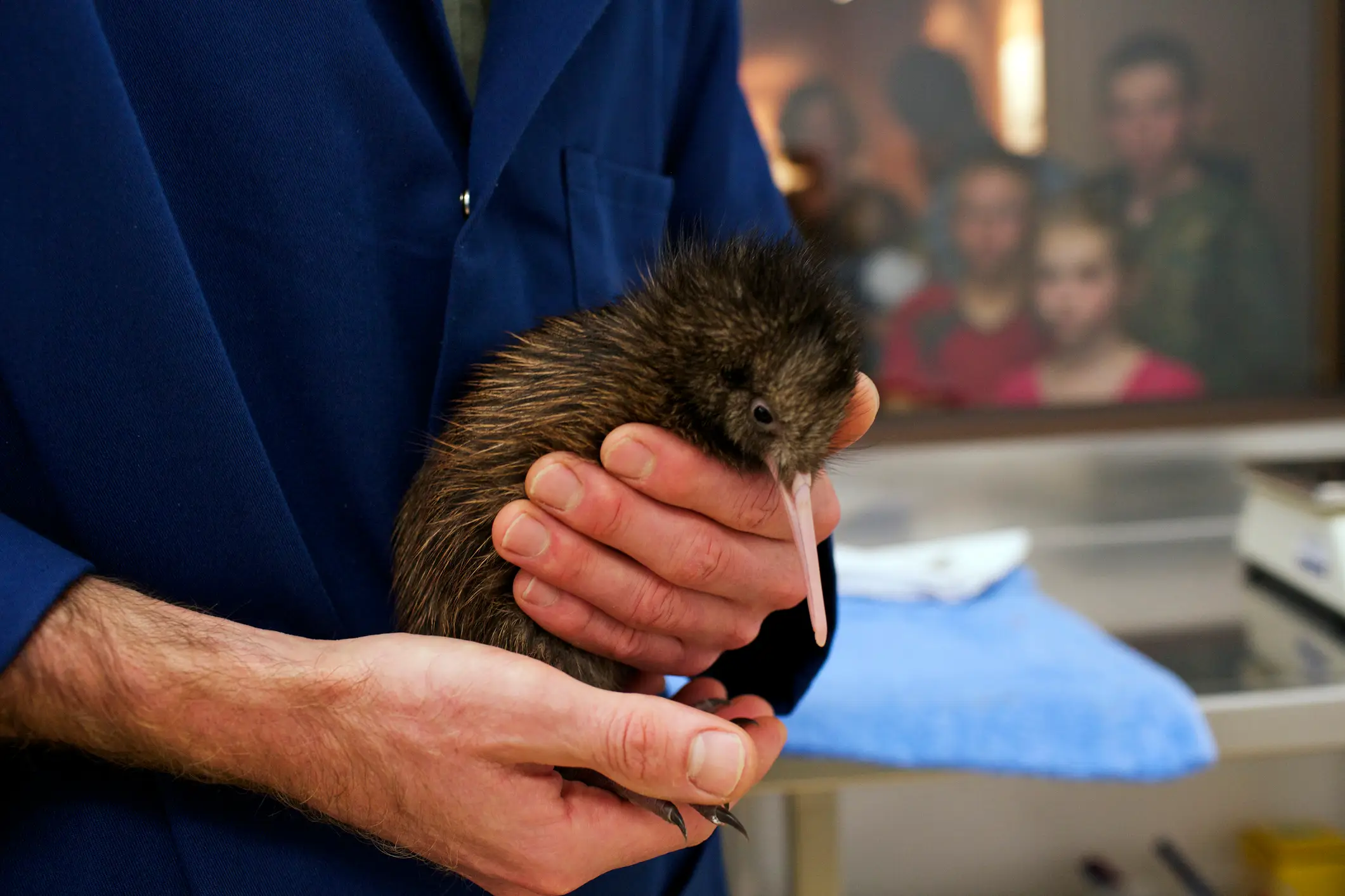 People didn't see the Kiwis (Oliver Strewe/ Getty Stock)