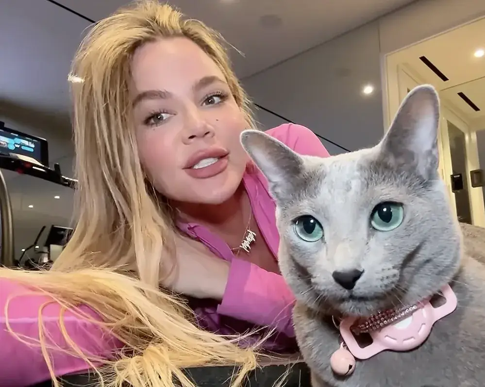 The reality TV star has faced backlash for admitting she 'declawed' her cats (Instagram/@khloekardashian)