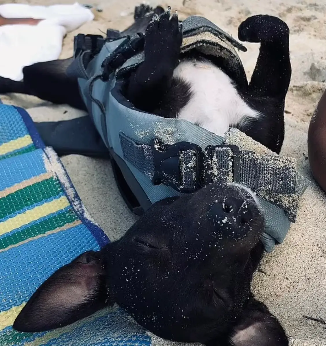 Maia was held in a detention centre by Delta Airlines.