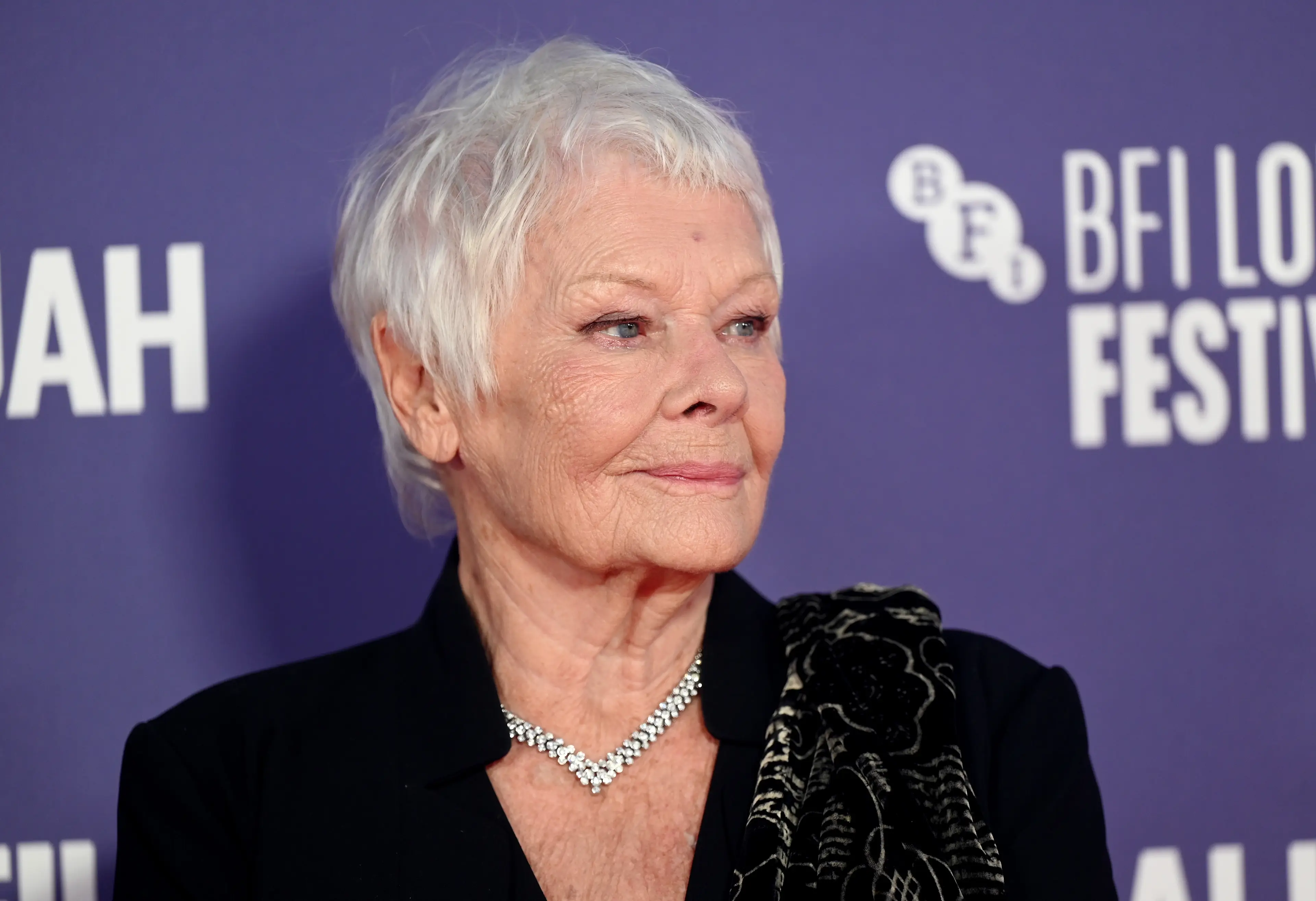 Dench has sparked backlash for her remarks (Stuart C. Wilson/Getty Images for BFI)