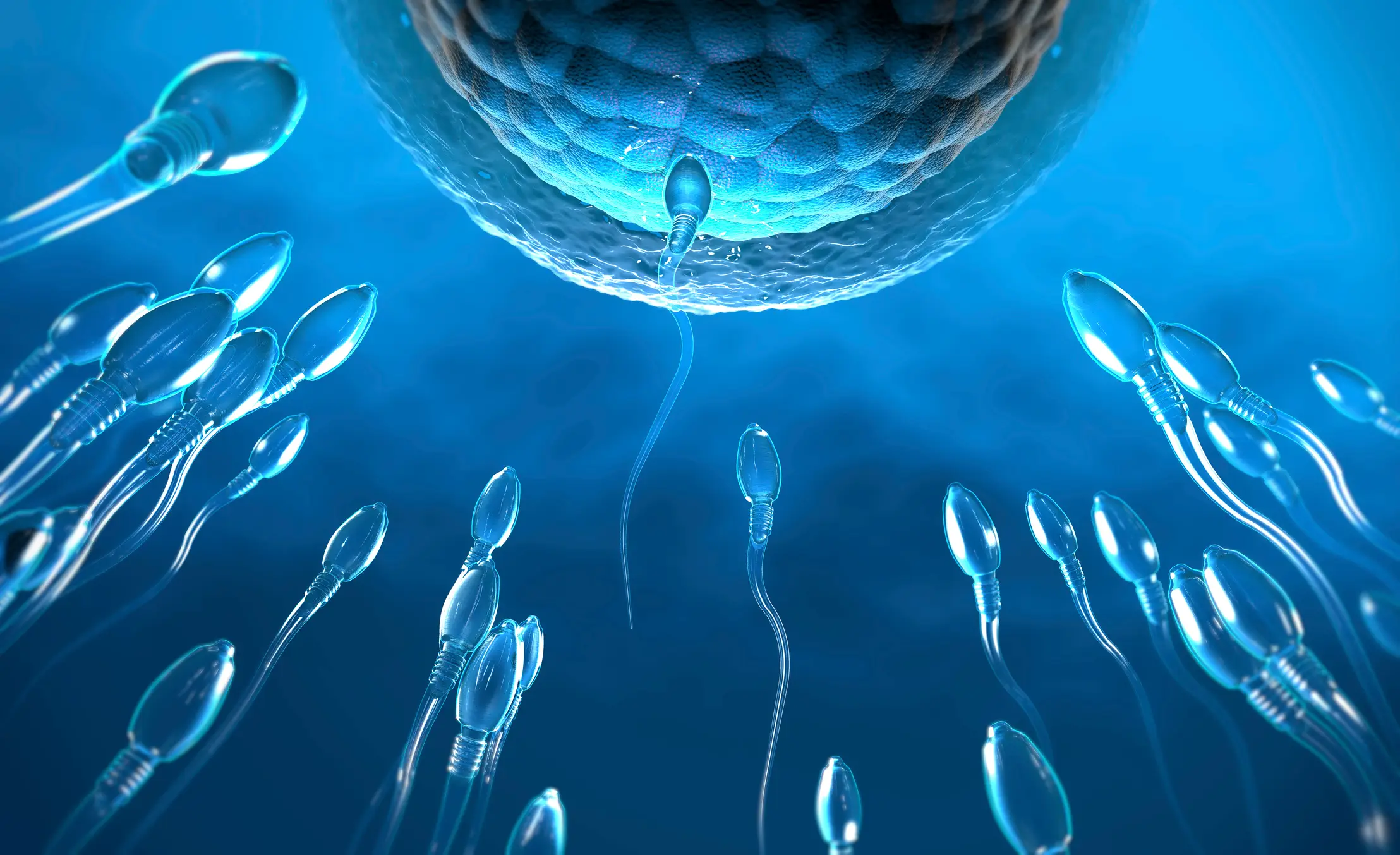However, research suggests that extremely hot weather can affect sperm and fertility (Getty Stock Image)