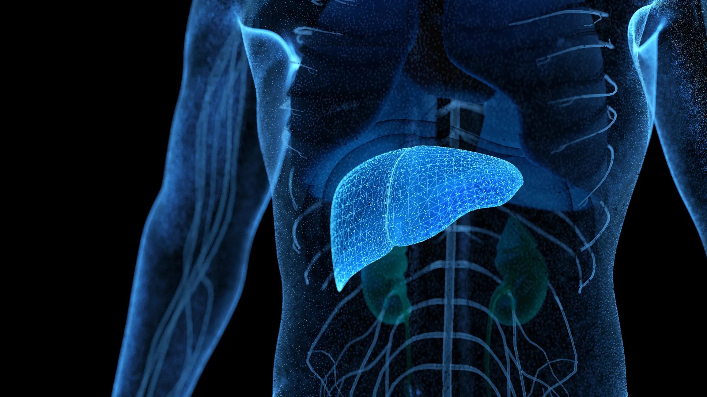 Your liver will begin to function better (Getty Stock Photo)