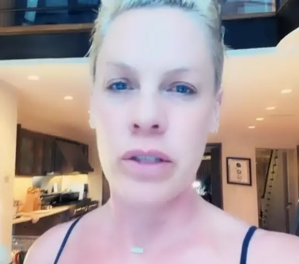 Pink responded (Instagram/@Pink)