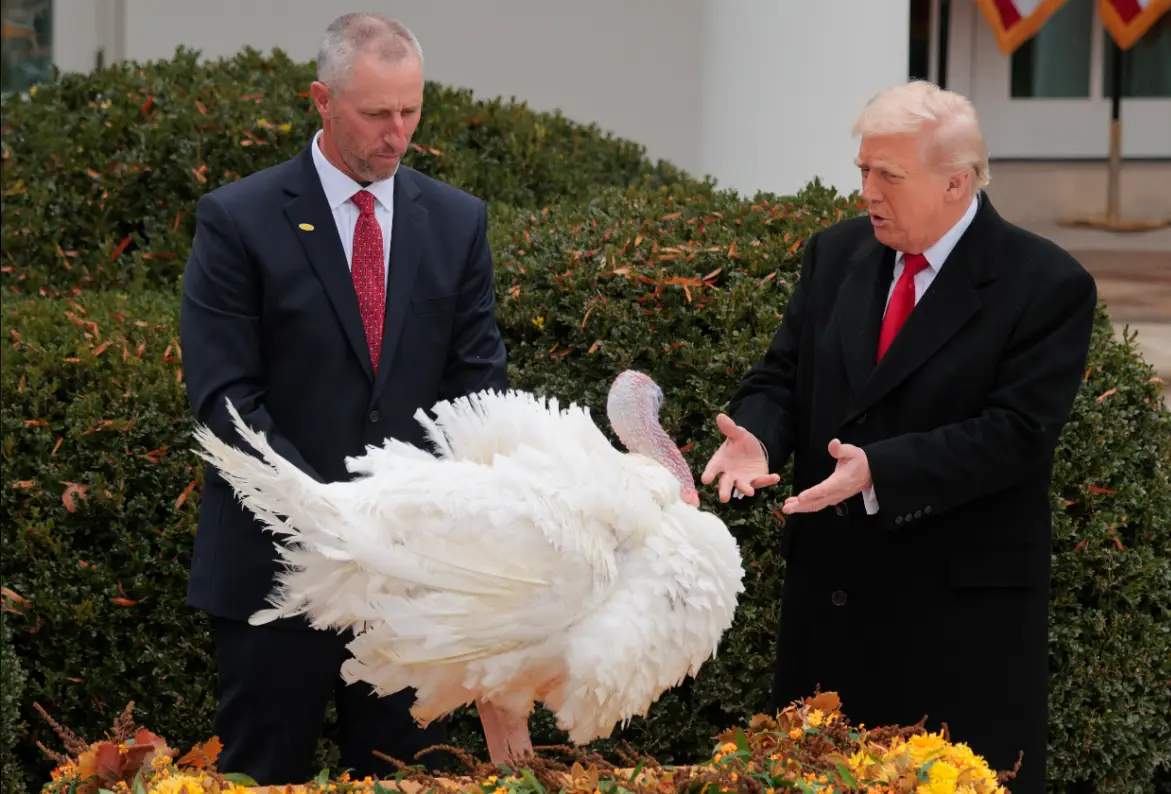 Donald Trump pardoned last year's birds again ahead of Thanksgiving (Chip Somodevilla/Getty Images)