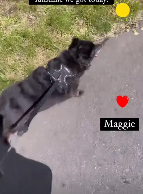 Ruth posted a little clip of her dog. Instagram/ @ruthlangsford