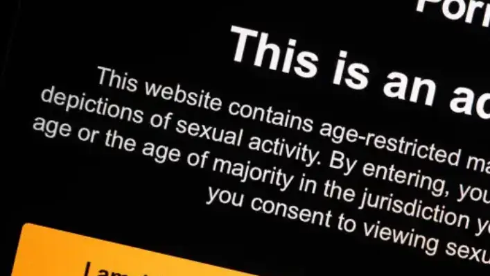 Urgent ‘do not click’ warning issued over ‘malicious’ porn site
