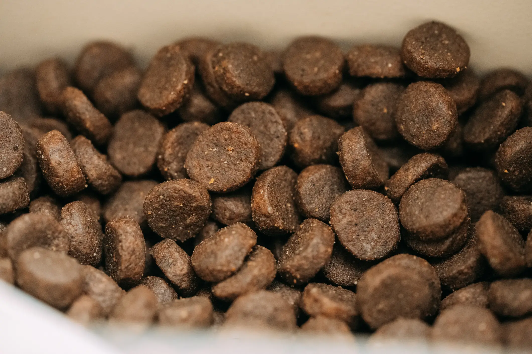 Kibble is a dry dog food (Getty Stock Photo)