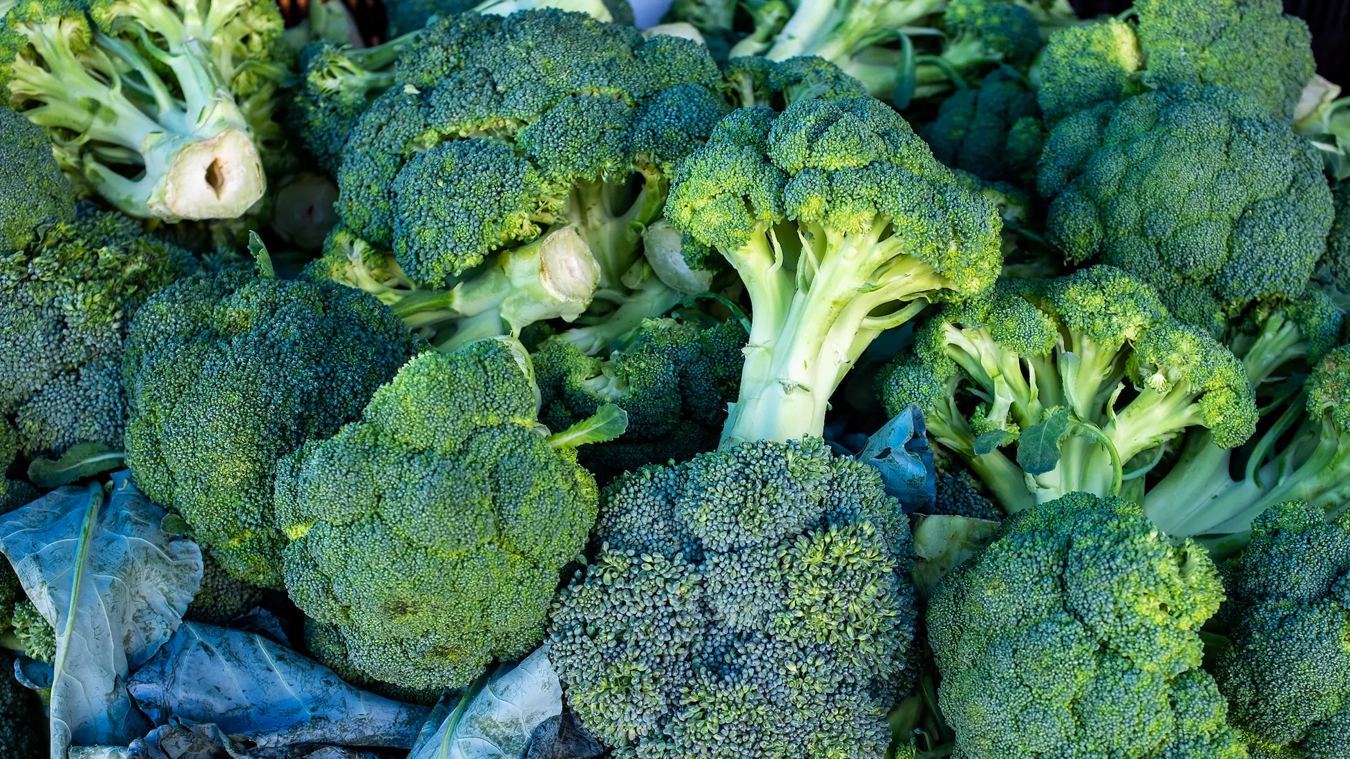 Studio One-One/Getty Images