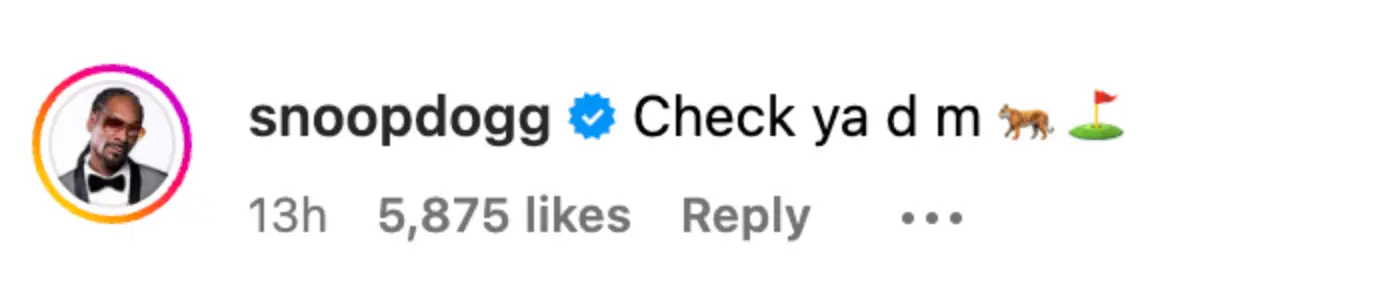 Snoop Dogg’s response to the post has left fans confused (Instagram/@snoopdogg)