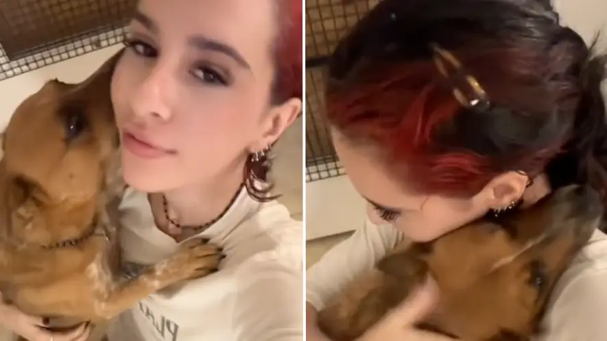 TikTok/@moonju1cepriv