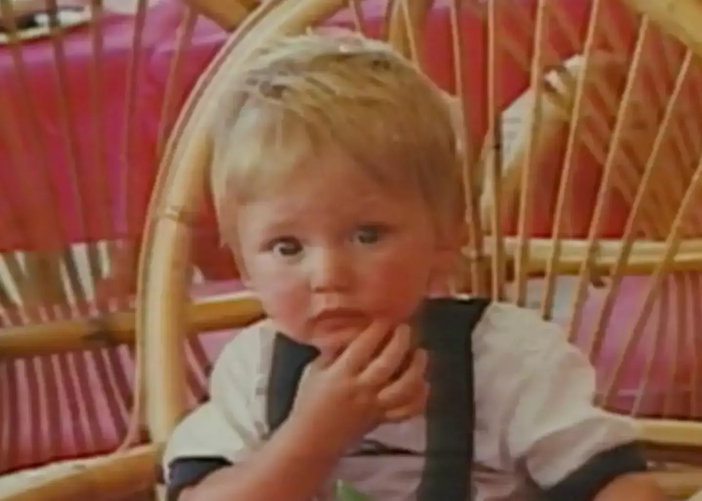 The toddler was last seen outside his grandparents' farmhouse in 1991. (Kostas Souliotis)