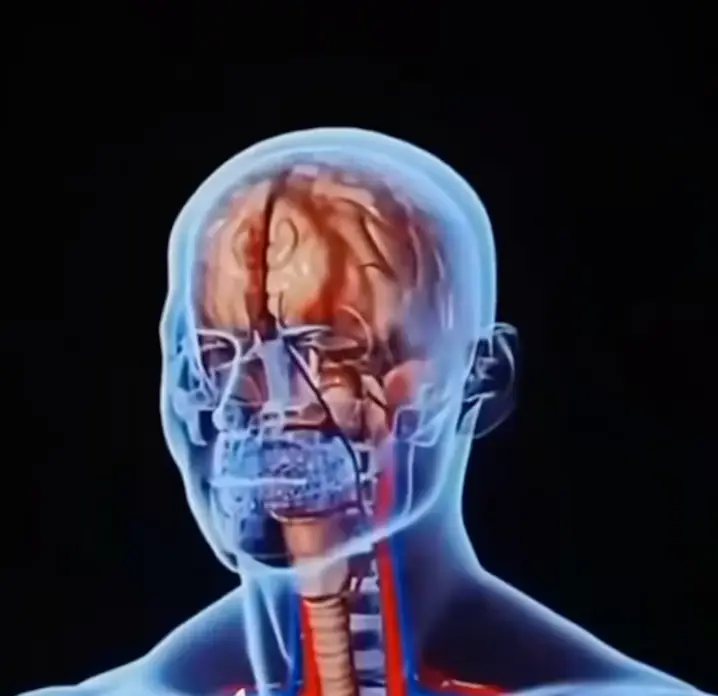 (Youtube/Wellness Wise)