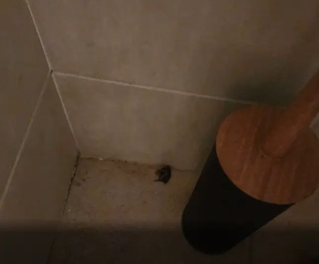 Kitti did not receive a full refund for her stay.