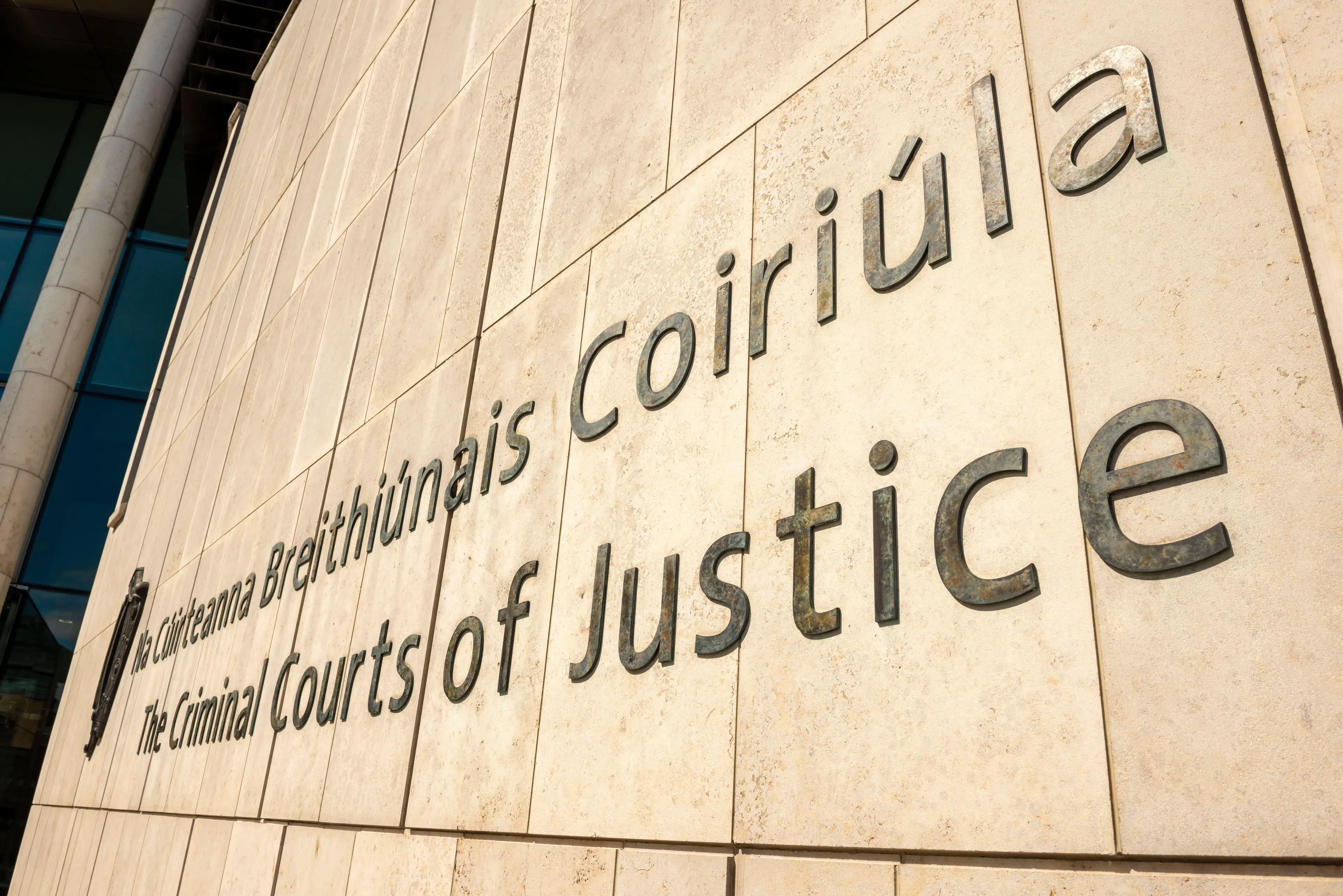 The court heard from defence witness Professor Patricia Casey that the suspect is not fit to stand trial.