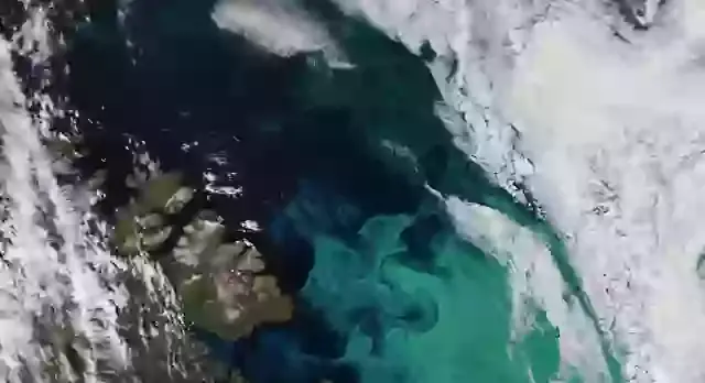 Astronomers think there could be life on K2-18b (YouTube/Hycean Worlds)