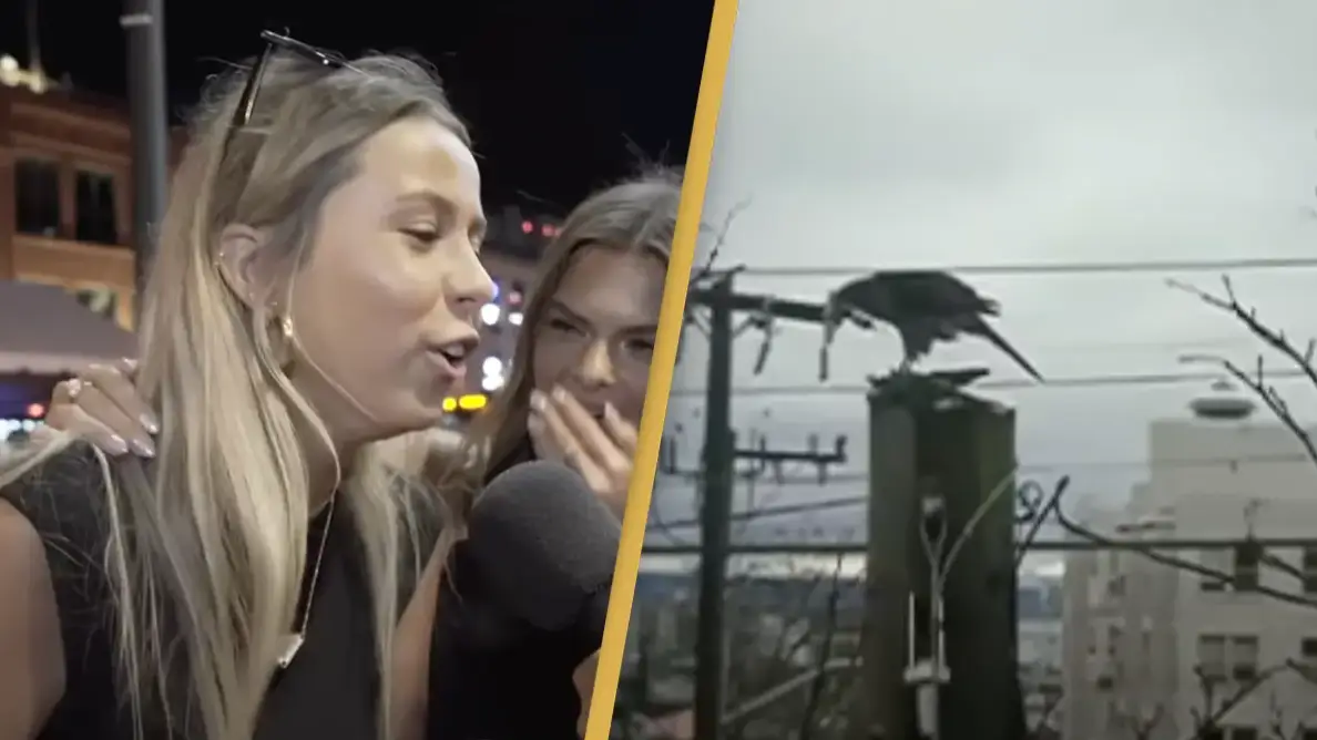 People think man predicted Hawk Tuah girl 16 years ago after shocking ‘time capsule’ resurfaces