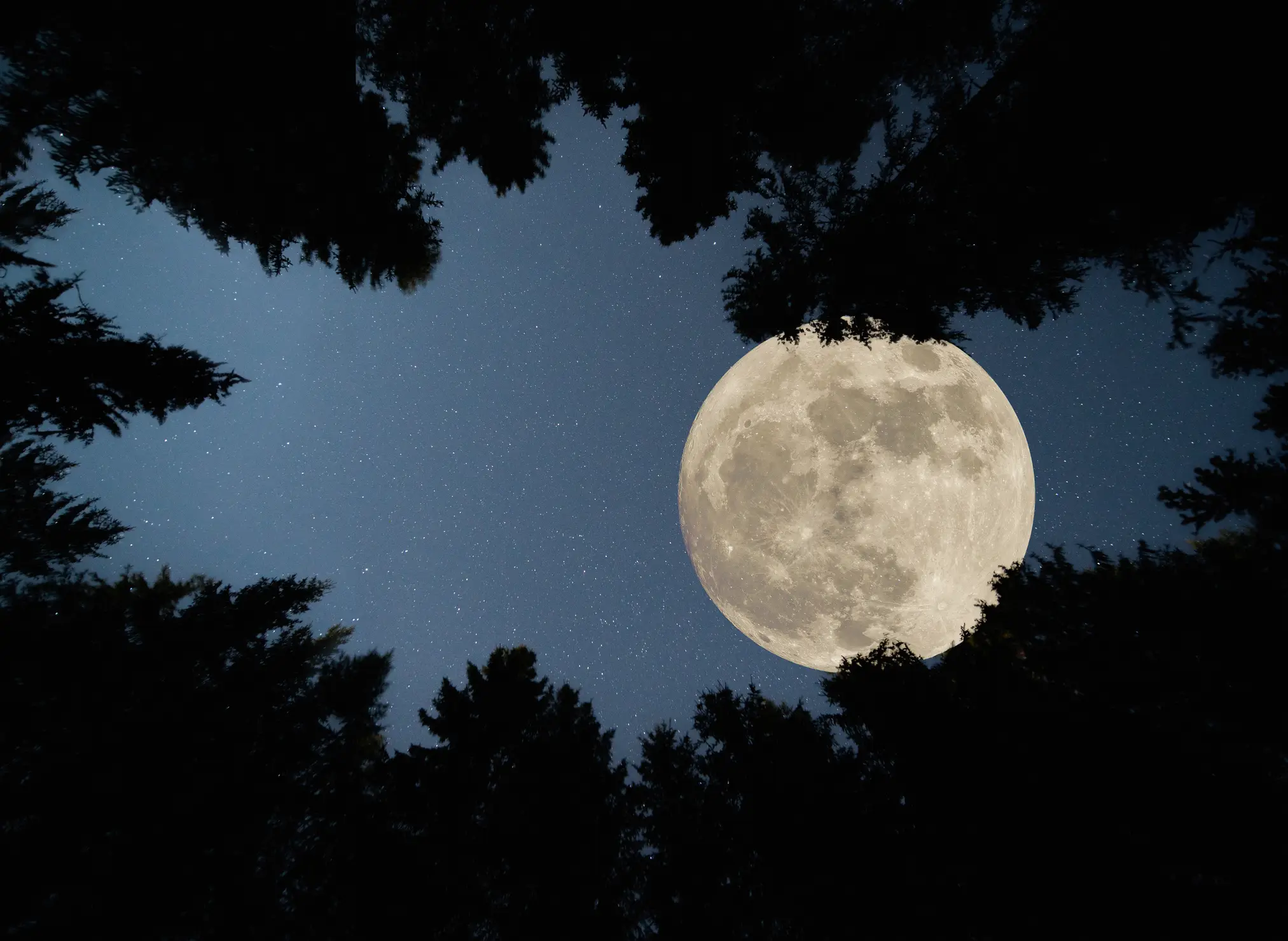 The moon will appear larger than normal (Getty Stock Photo)