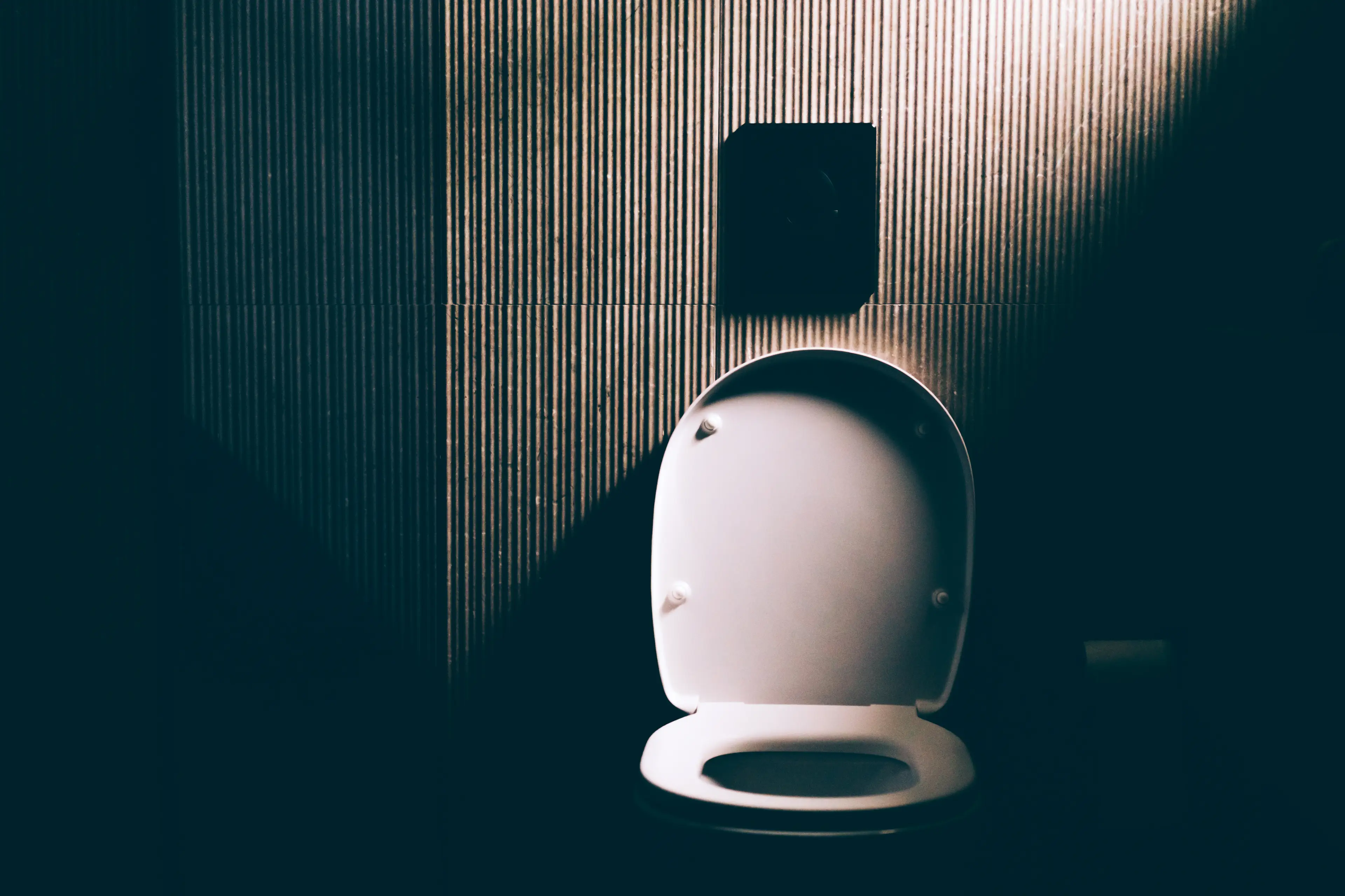 They arranged people into four categories (Yana Iskayeva/Getty)