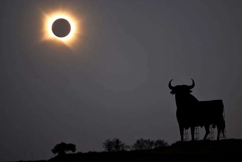 The Eclipse was fully visible over Spain yesterday (Photo by Ander Gillenea / AFP via Getty Images)