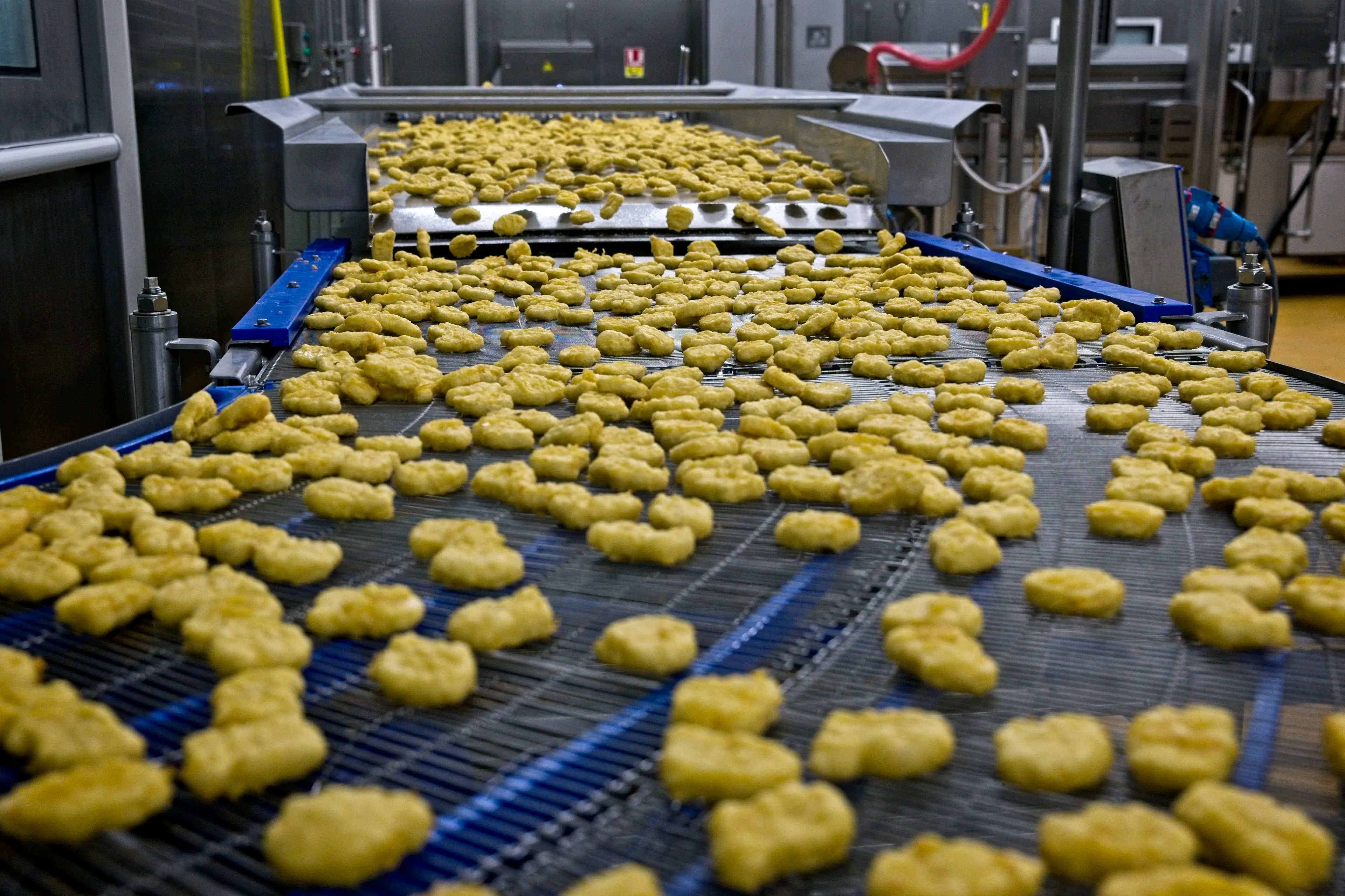 The nuggets are made at a central facility before being shipped out. (GUILLAUME SOUVANT/AFP via Getty Images)