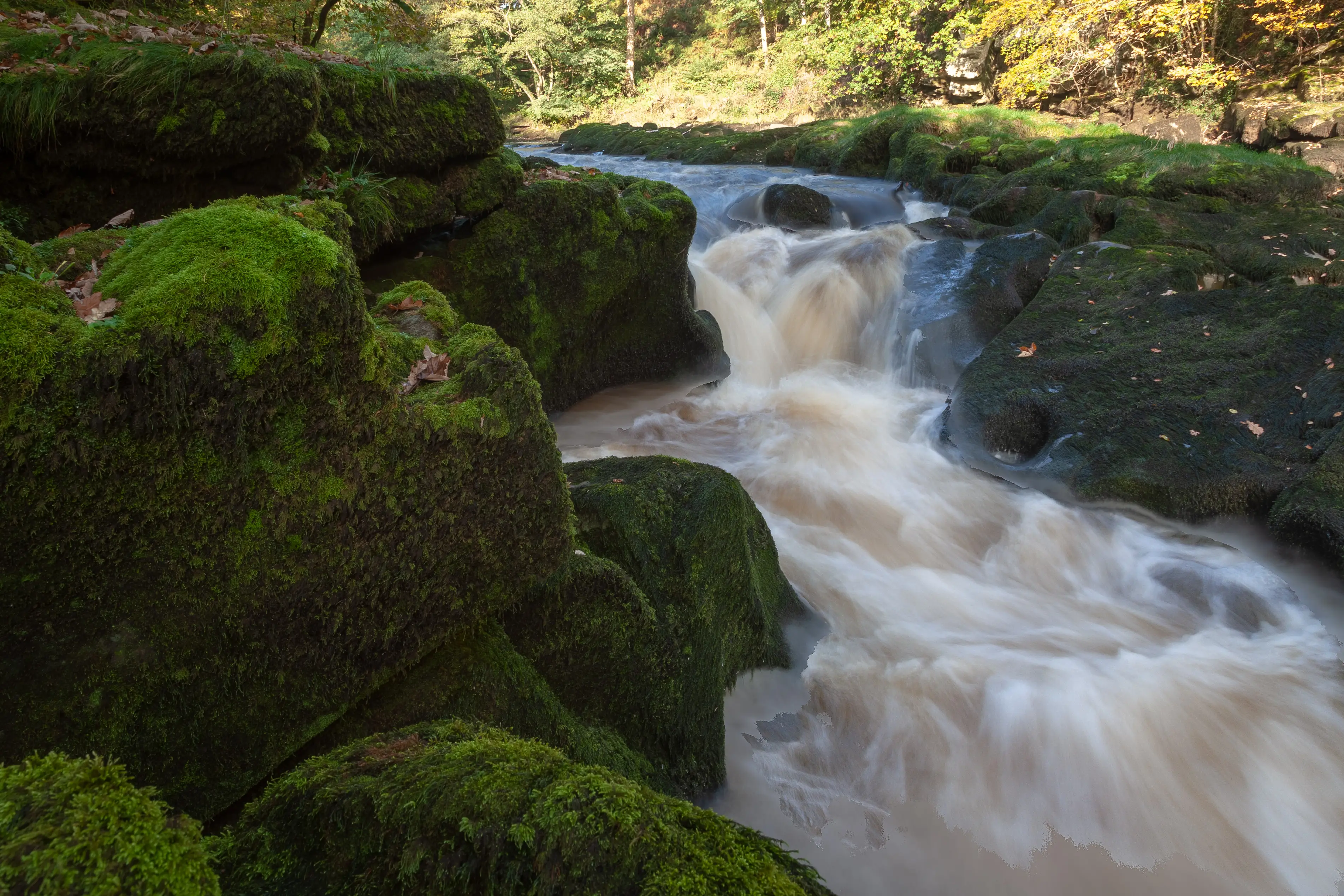 The Strid has been dubbed as one of the world's most dangerous rivers (Tim Lamper/Getty Stock Images)