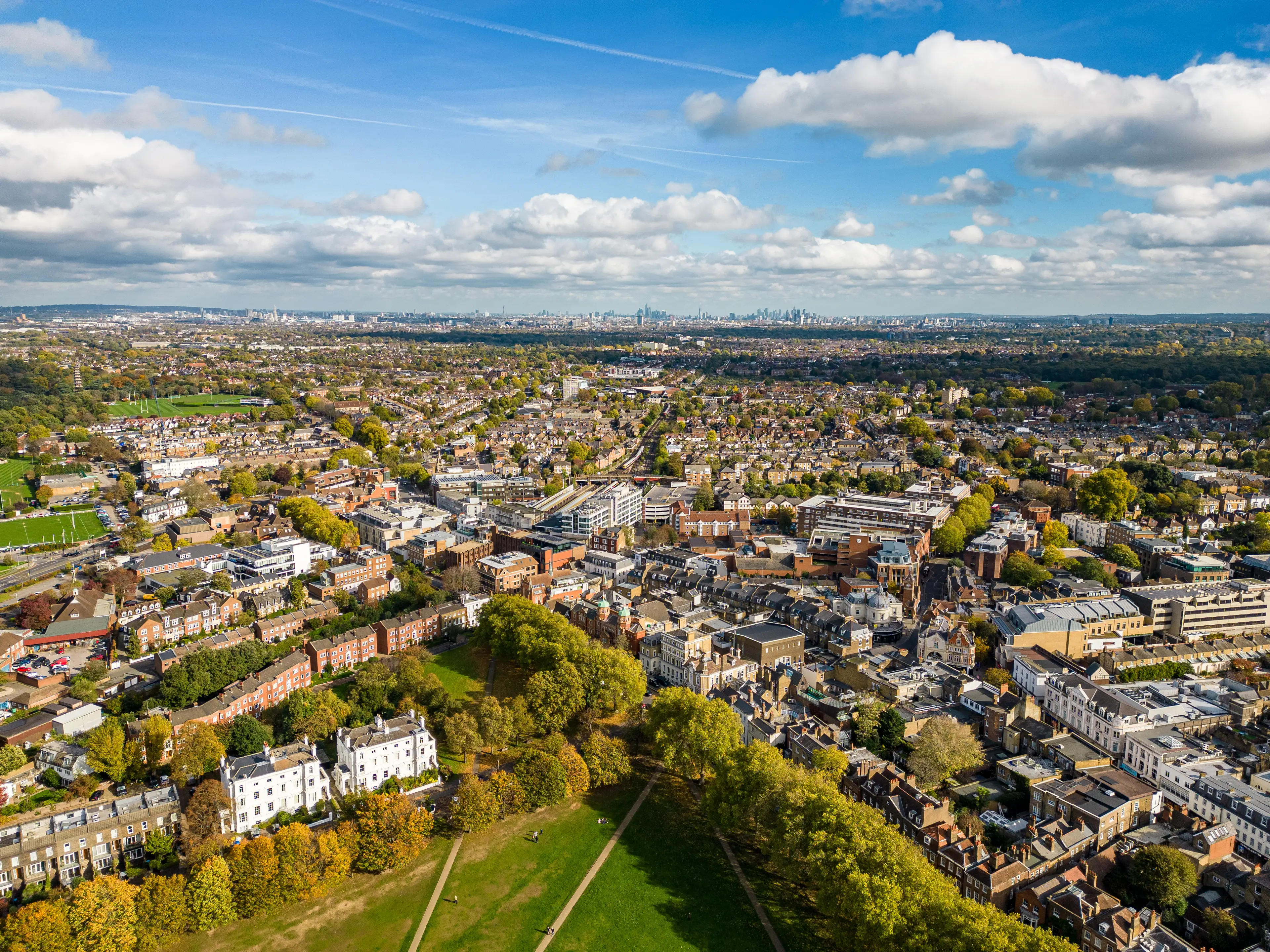 The skull was found in Richmond, London (Photo by Dutcher Aerials)
