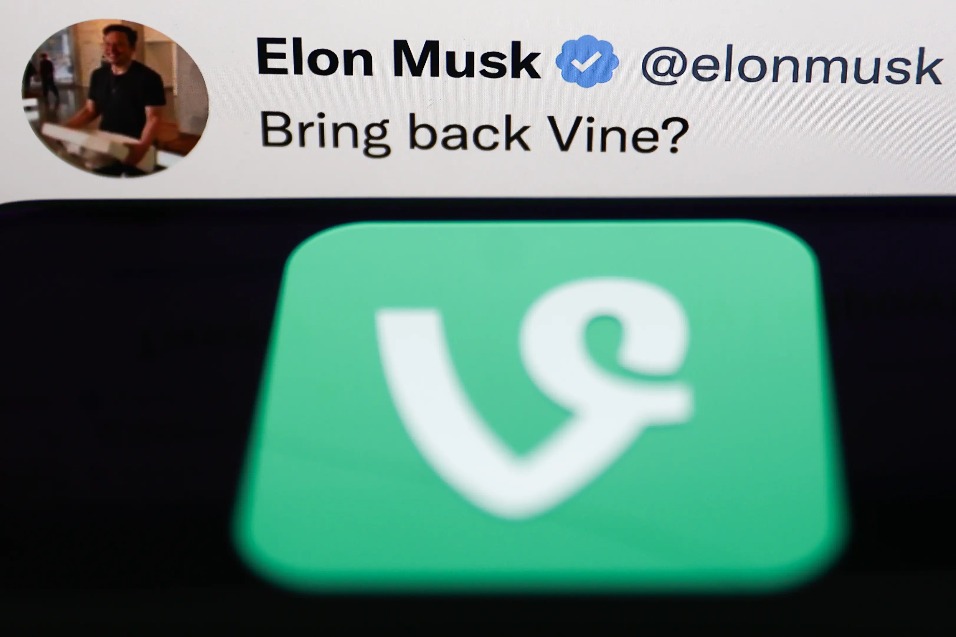 Vine is making a return (Jakub Porzycki/NurPhoto via Getty Images)