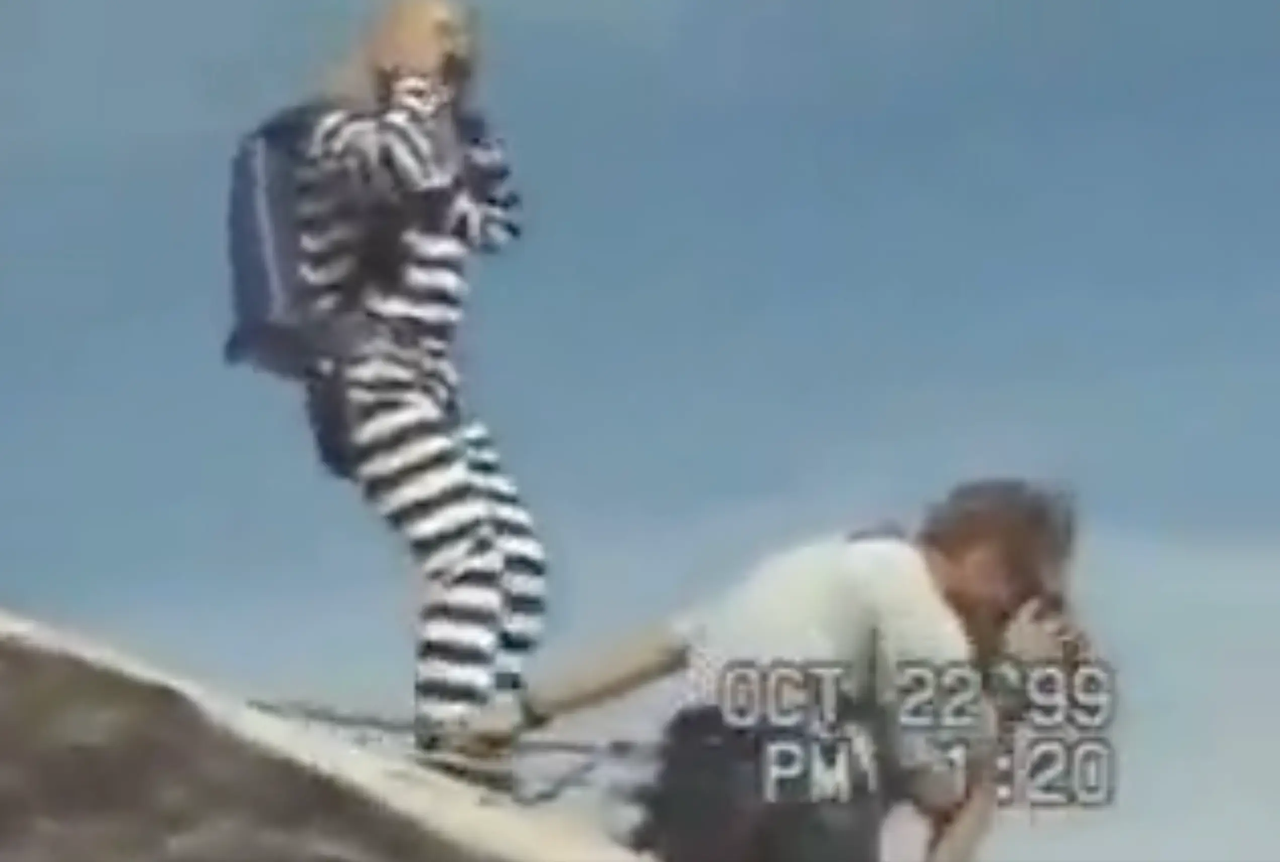 Davis was 60 when she fell to her death.