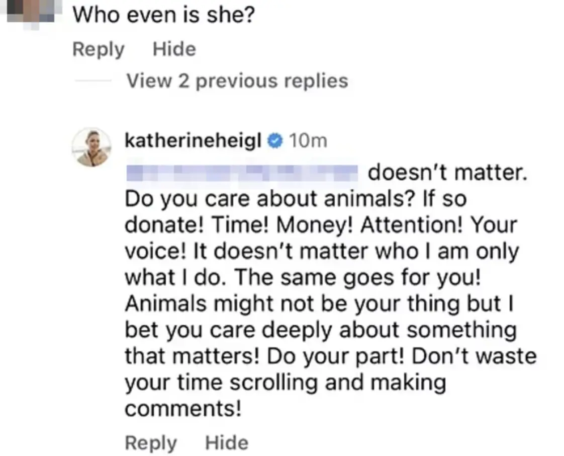 Heigl responded to a number of comments on Instagram (Instagram)