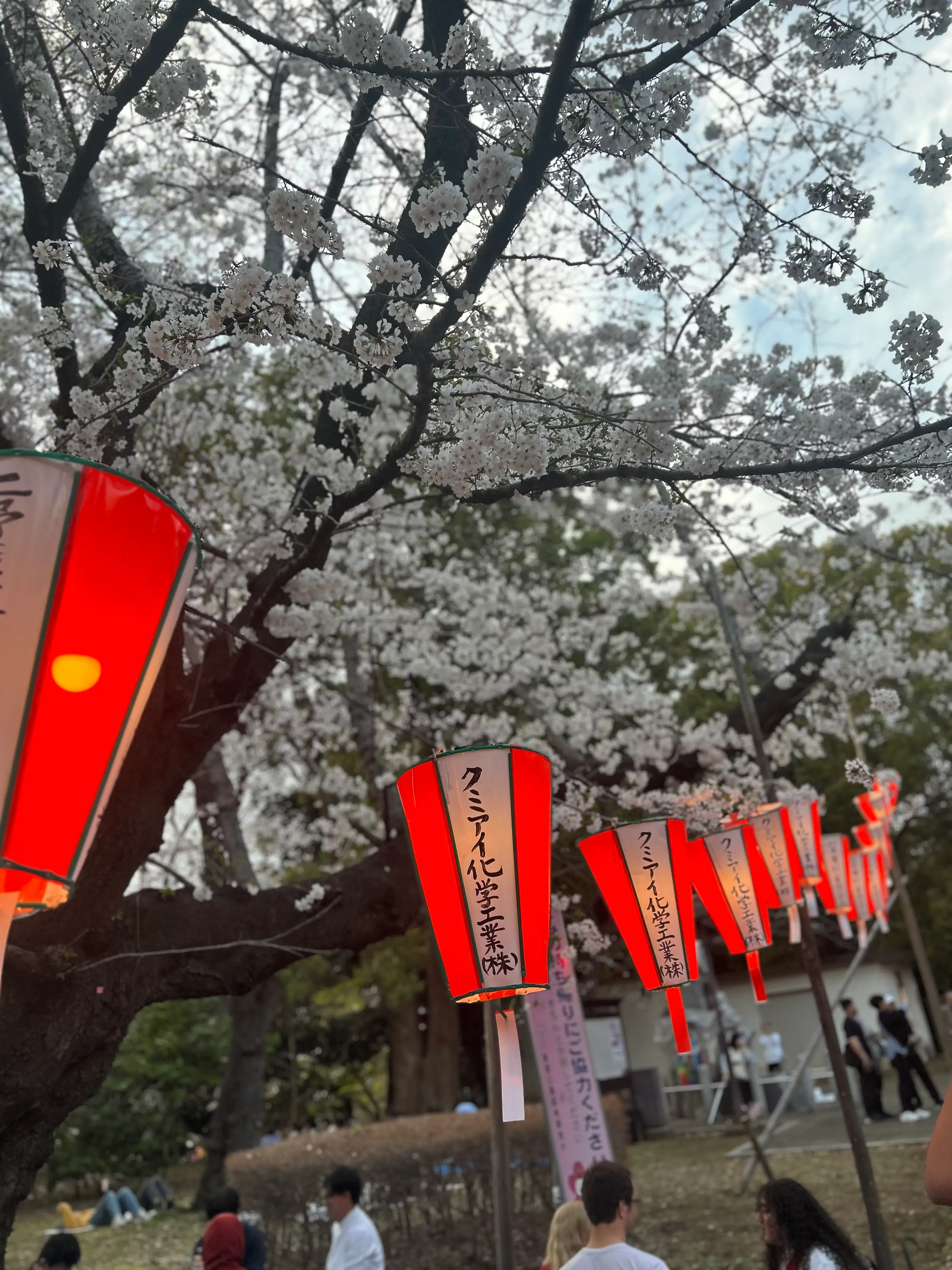 We accidentally stumbled upon Ueno Park's sakura festival (Ellie Kemp)