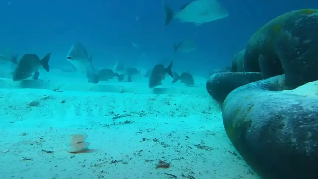 Odysseas Froilan/YouTube