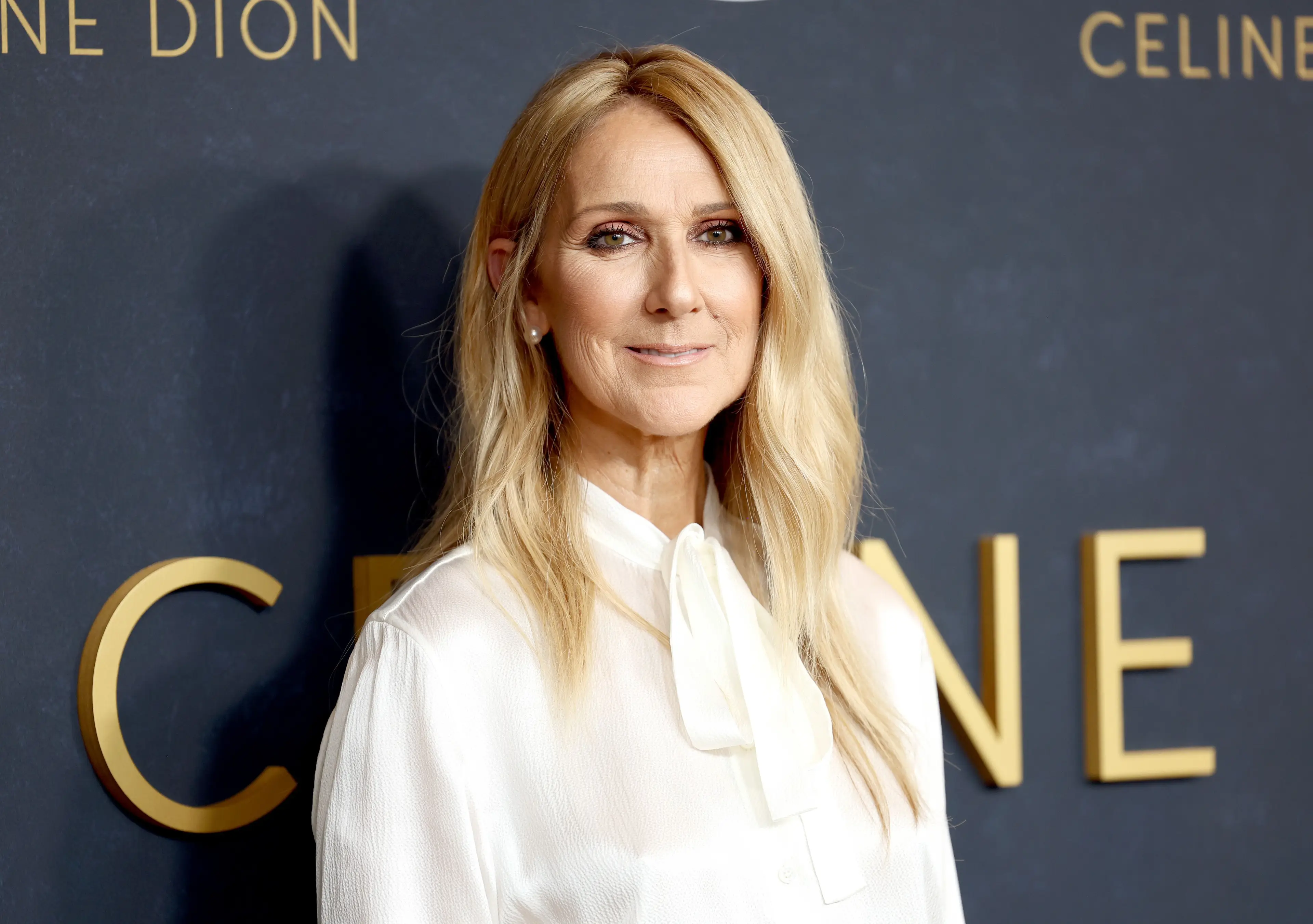 Dion has spoken honestly about her experience after her diagnosis. (Cindy Ord/Getty Images)