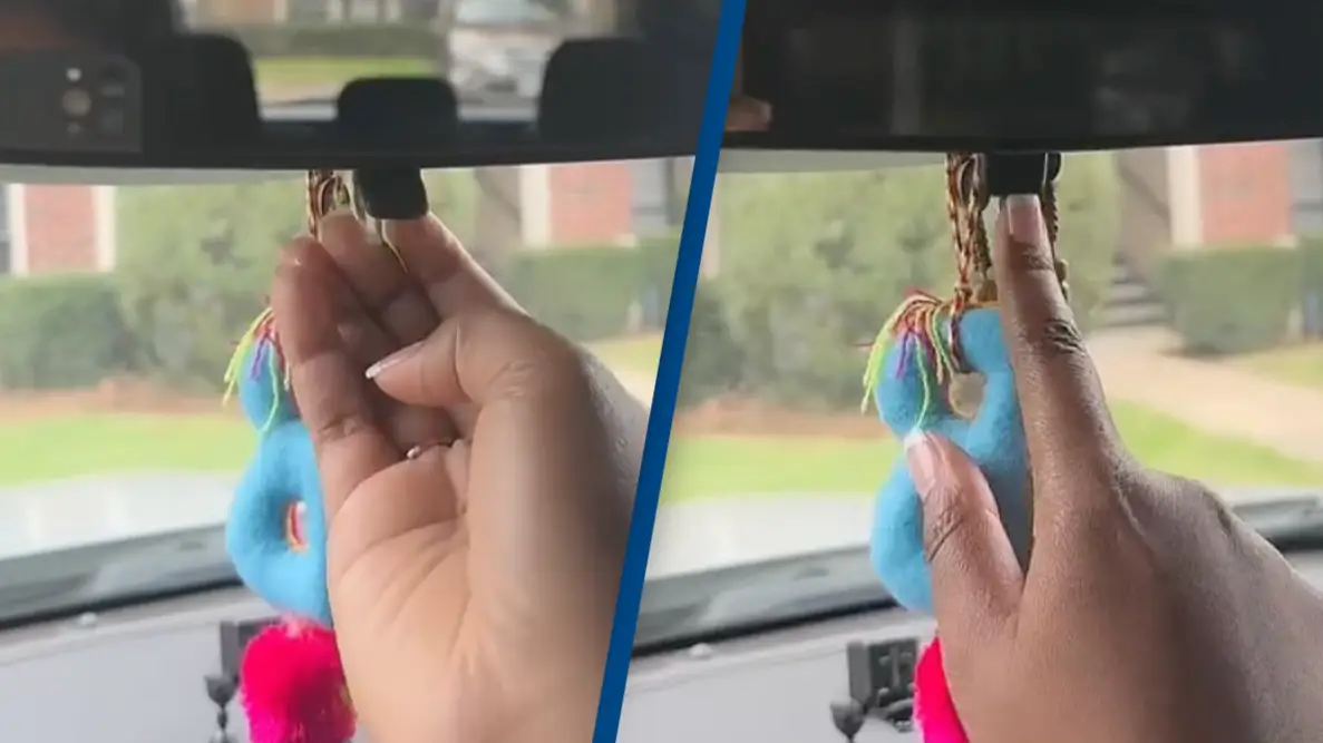 TikTok/@everythingbrooklyn