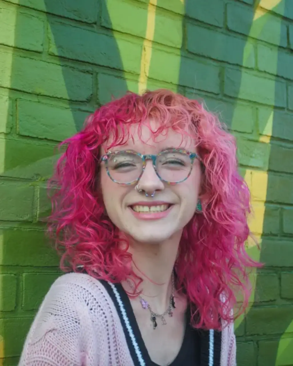 Bird was left with a spinal cord injury following the incident (Instagram/birdpiche)