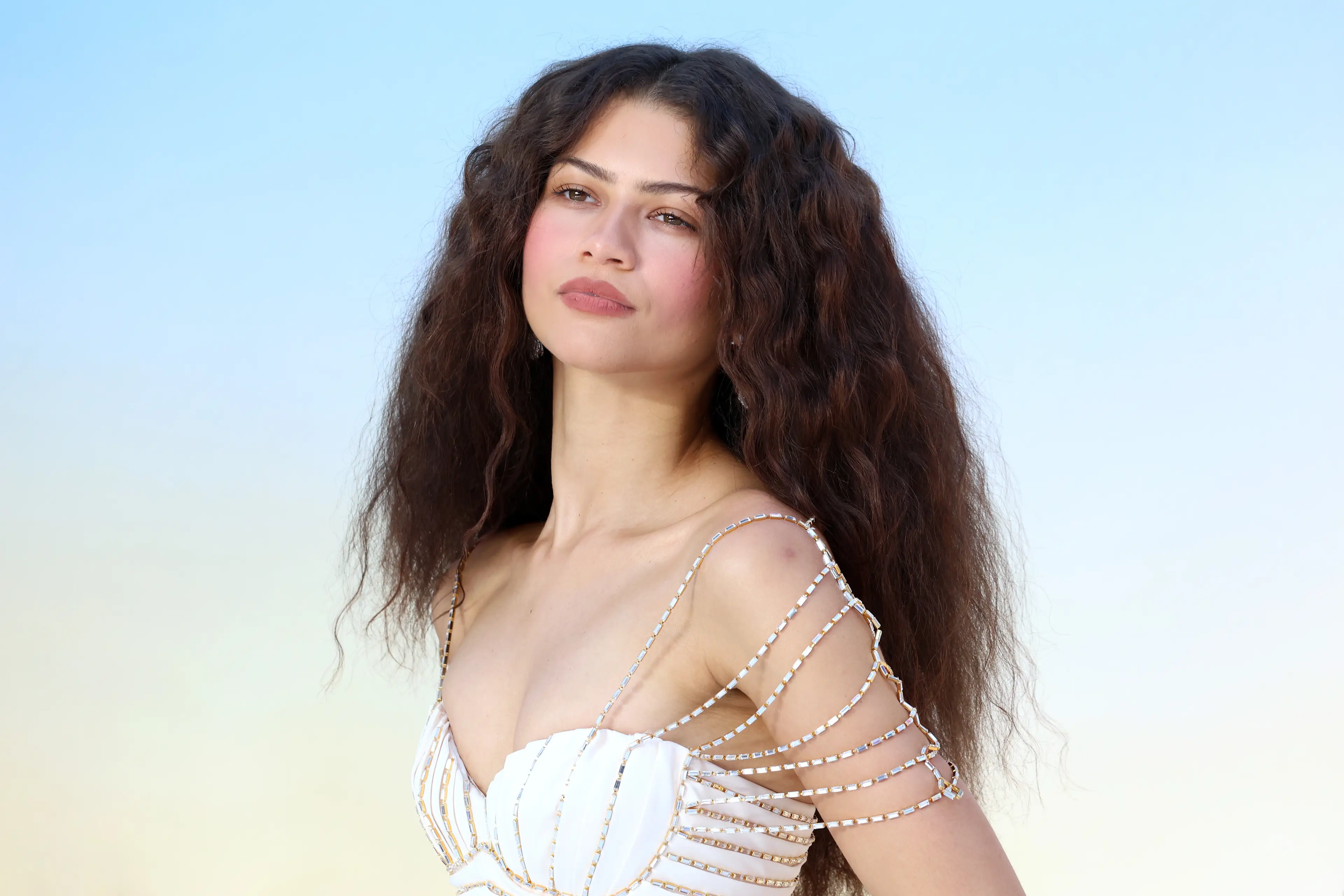 Unlike many celebrities, Zendaya does not subscribe to the cold plunge (Lia Toby/Getty Images)