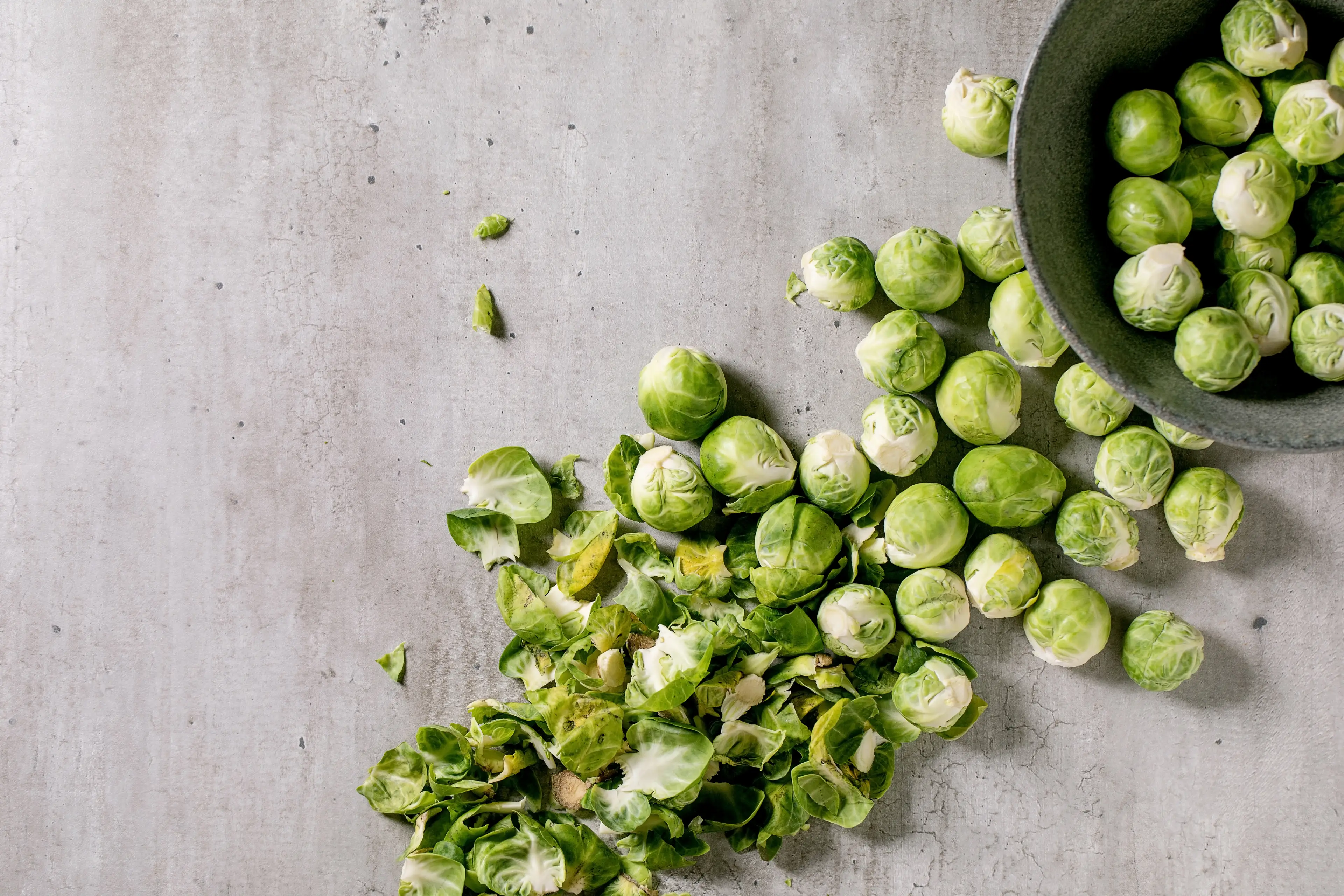 To brussel or not to brussel, that is the question.