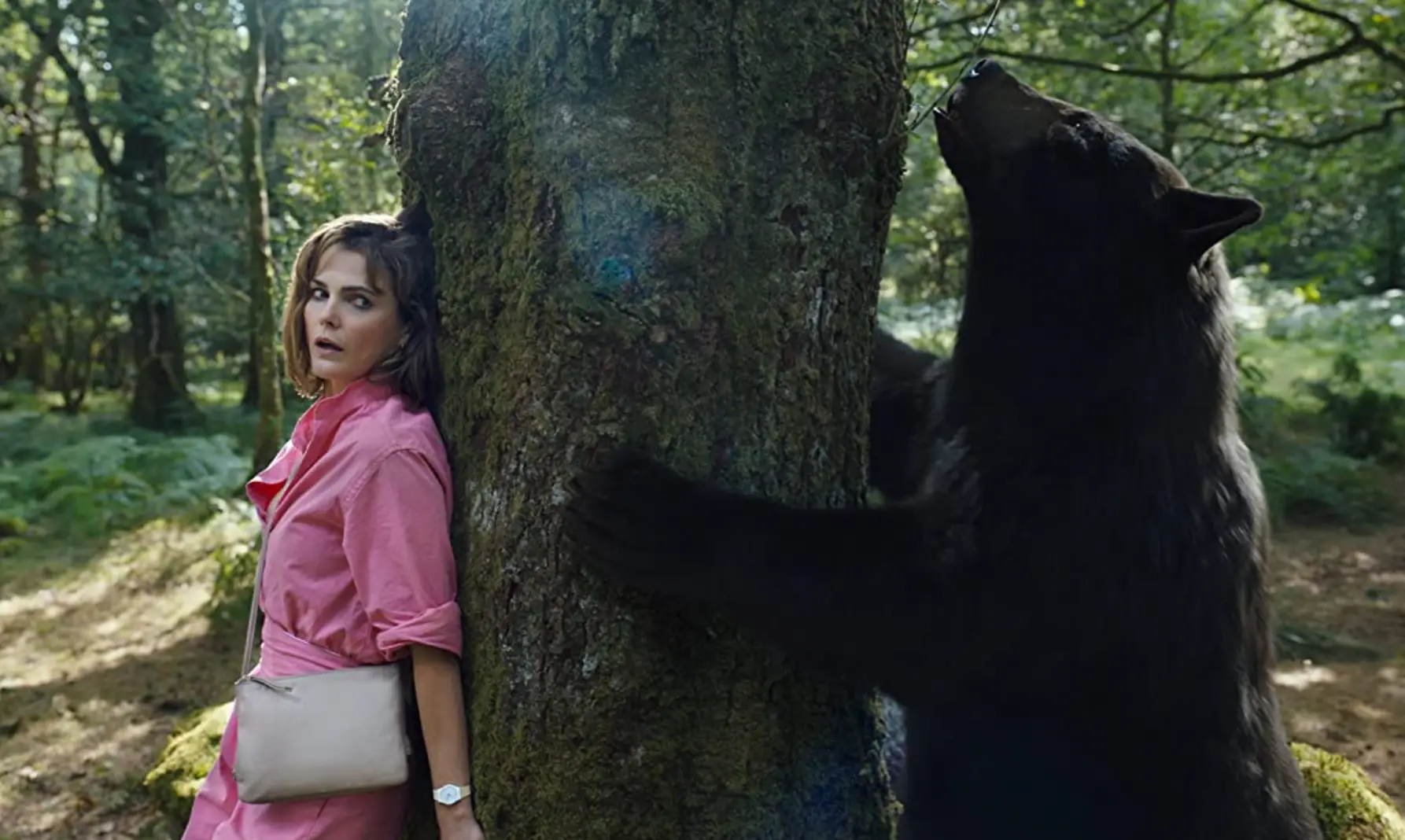 Cocaine Bear is inspired by real events.