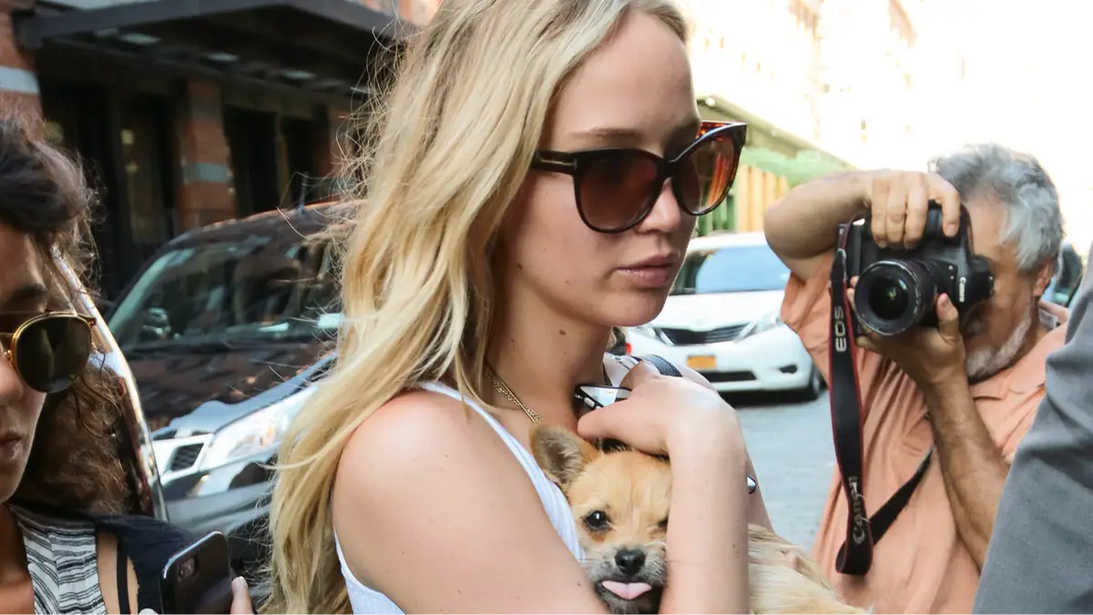 Ignat/Bauer-Griffin/Getty