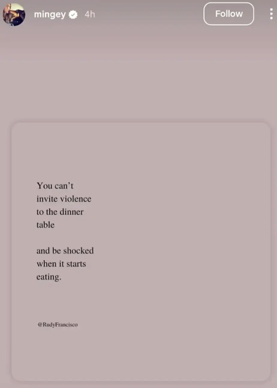 Amanda Seyfried shared the post online (Instagram/@mingey)