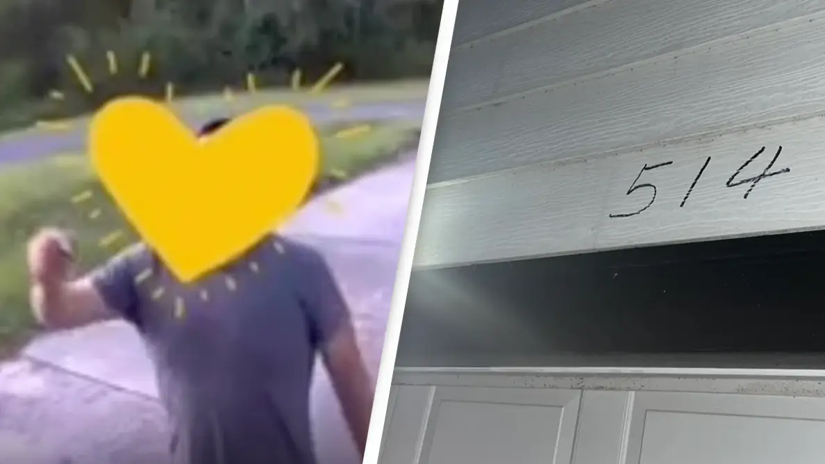 Reddit/yellowenthusiastt