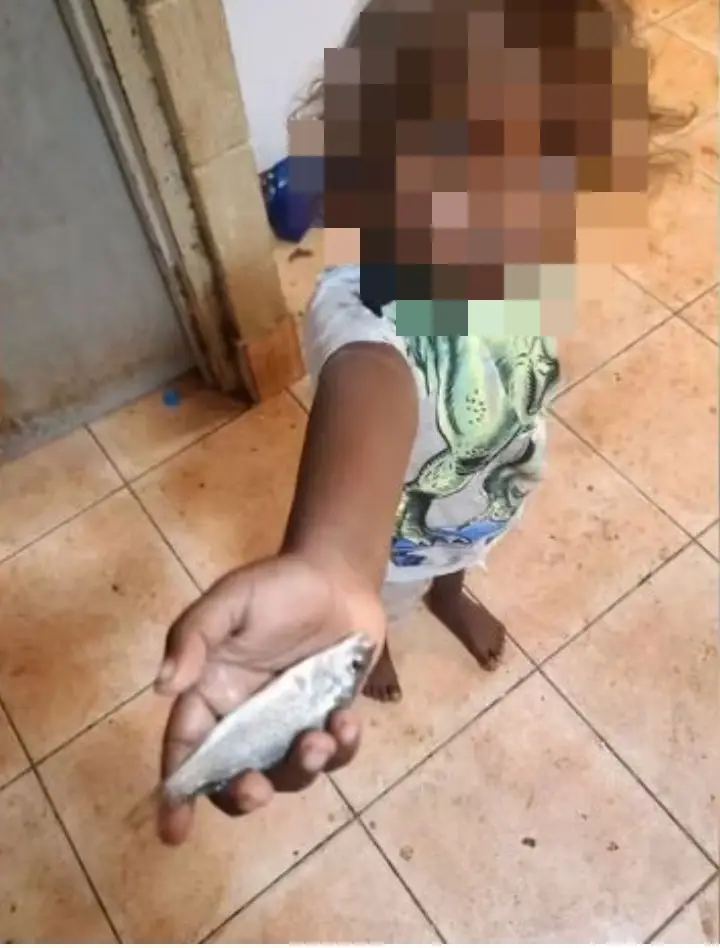 Here's the sort of fish we're dealing with.