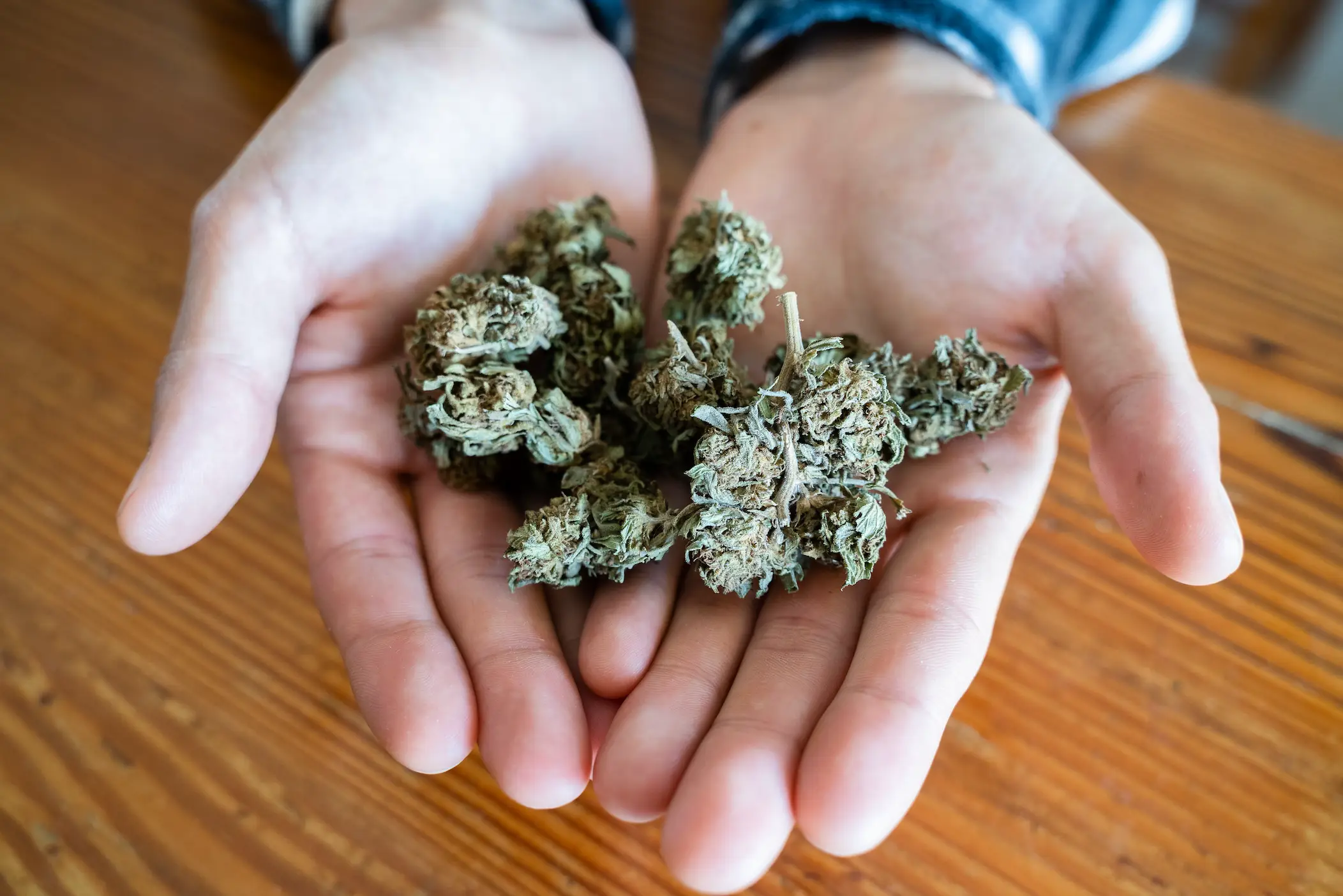 According to researchers cannabis appears to disrupts the brain's natural process of refining and pruning synapses(Getty Stock Image)